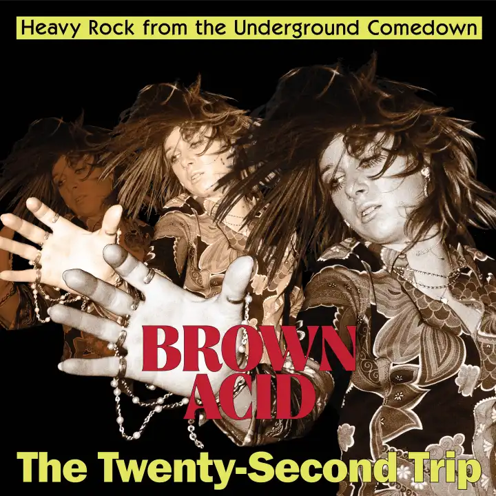 BROWN ACID - THE TWENTY-SECOND TRIP (CD)/V.A. (BROWN ACID)/人気の