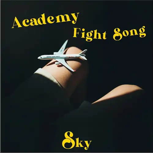 ファイトソング〈4枚組〉 Academy Fight Song商品一覧｜PUNK｜ディスクユニオン・オンライン