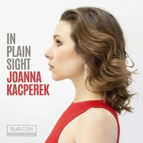 JOANNE KACPEREK / ヨアンナ・カツペレク / IN PLAIN SIGHT