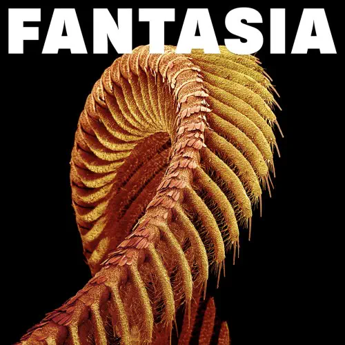 SLIFT / FANTASIA