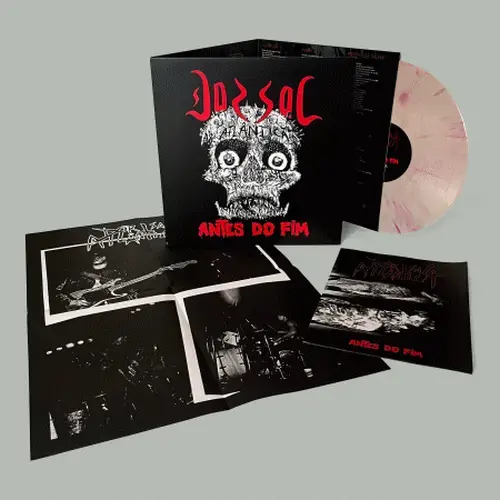 SCREWD『ROCK ANTI-COMMUNISM』 アナログ盤 ANTI CIMEX (アンチサイメックス) - Demos 81-85 (German 限定再発 LP