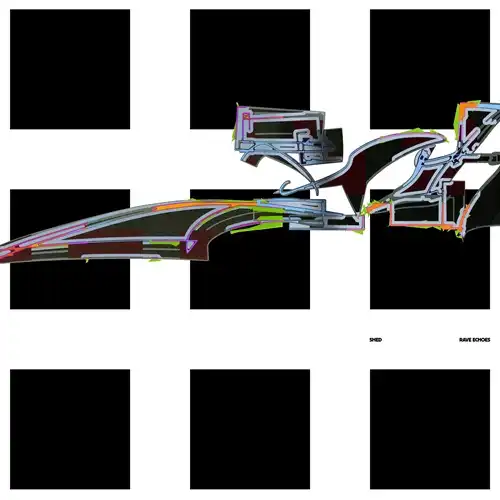 SHED / シェッド / RAVE ECHOES (2LP)