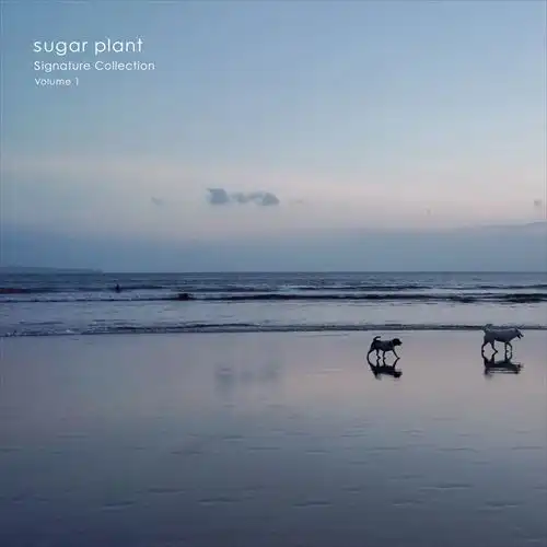sugar plant / Signature Collection Volume.1