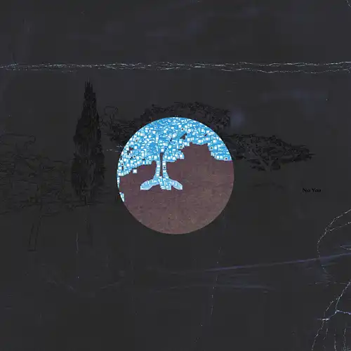 NO YOU (SUZANNE KRAFT & DAVY KEHOE) / NO YOU (LP)