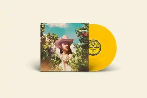 DUANE BETTS / デュアン・ベッツ / ISLE OF HOPE (LP)