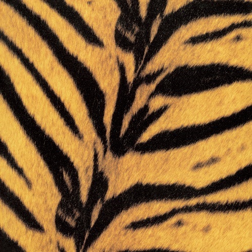 Tigermobile(LP)/THE HIGH-LOWS/ザ・ハイロウズ/現在入手困難な