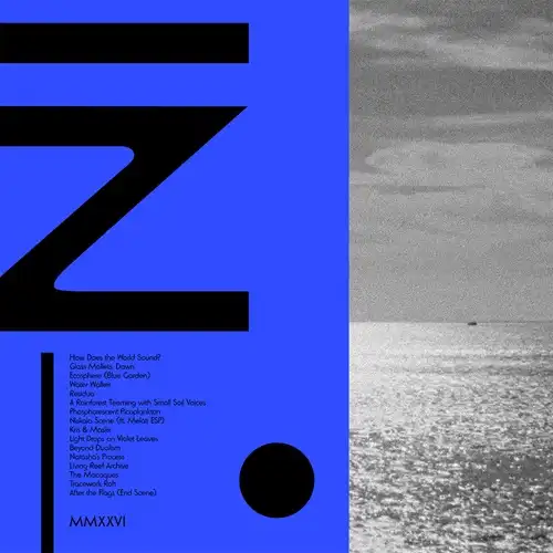 KAAZI / INCIDENTAL SCENES