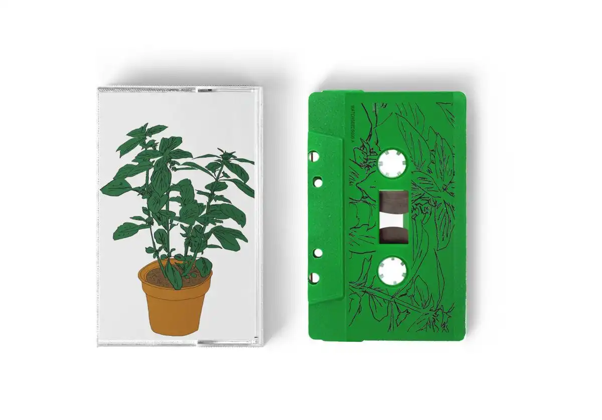 Salamanda - Ashbalkum レコード Salamanda – Ashbalkum – Vinyl (Clear, LP, Album, Repress), 2022