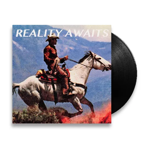 STROKES / ザ・ストロークス / REALITY AWAITS (VINYL)