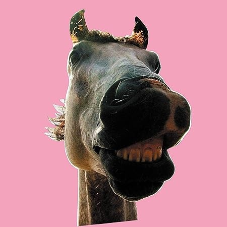 THE HIGH-LOWS / ザ・ハイロウズ / Do!! The★MUSTANG(2LP)