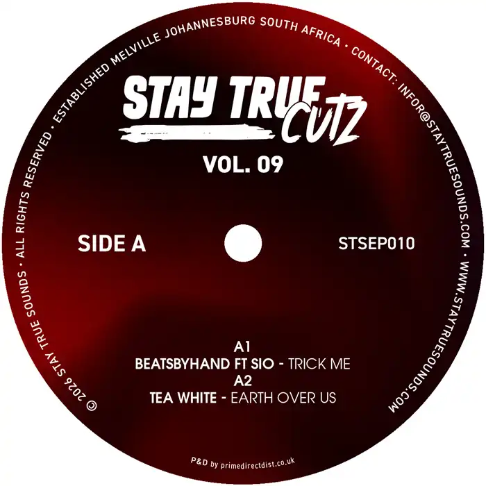 NEXT STAY TRUE CUTZ - VOL.9/V.A. (STAY TRUE SOUNDS)/オムニバス