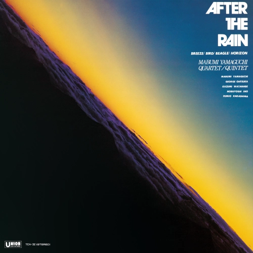 MABUMI YAMAGUCHI / 山口真文 / AFTER THE RAIN(LP)
