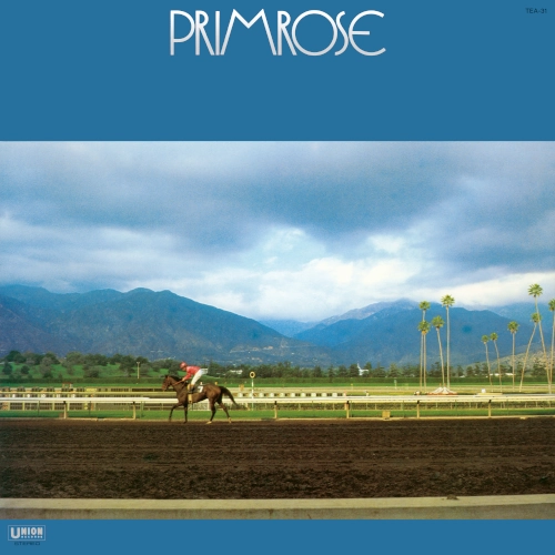 HIROMASA SUZUKI / 鈴木宏昌 / PRIMROSE(LP)