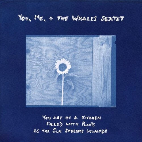 YOU, ME, + THE WHALES SEXTET / You are in a Kitchen Filled with Plants as the Sun Streams Inwards(LP)