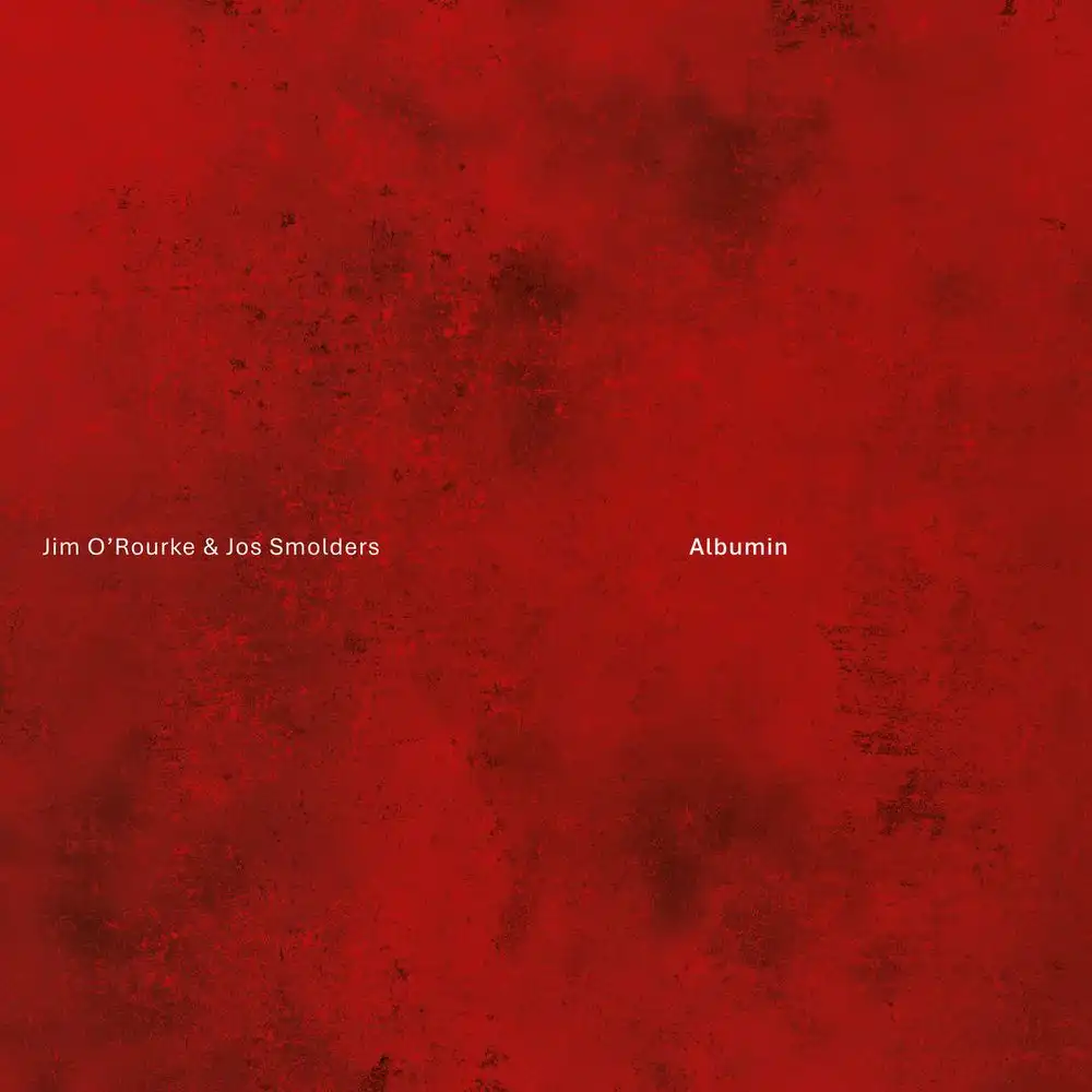 JIM O'ROURKE & JOS SMOLDERS / ALBUMIN [LP]