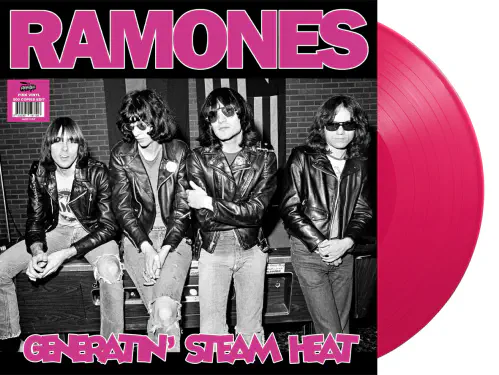 RAMONES / ラモーンズ商品一覧｜SOUL / BLUES｜ディスクユニオン