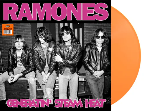 RAMONES / ラモーンズ商品一覧｜SOUL / BLUES｜ディスクユニオン