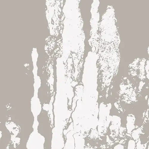REES / MUSIC FOR STALAGMITES