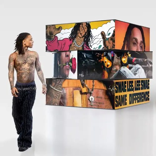 SWAE LEE / SAME DIFFERENCE (2LP)