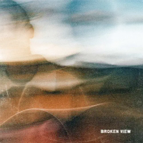 SAM BARBER / BROKEN VIEW (LP)