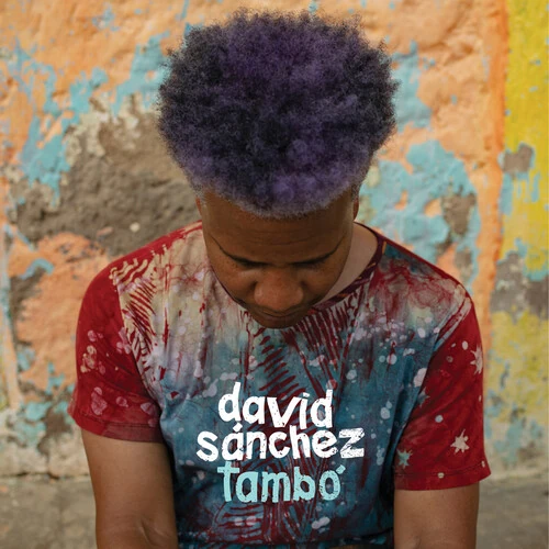 DAVID SANCHEZ / デヴィッド・サンチェス / Tambo(LP)