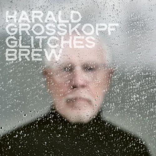 HARALD GROSSKOPF / ハラルド・グロスコフ / GLITCHES BREW