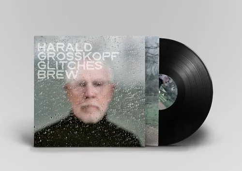 HARALD GROSSKOPF / ハラルド・グロスコフ / GLITCHES BREW: LIMITED VINYL