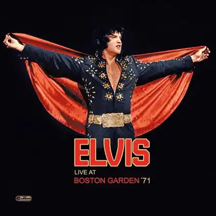 ELVIS PRESLEY / エルヴィス・プレスリー商品一覧｜JAZZ｜ディスク