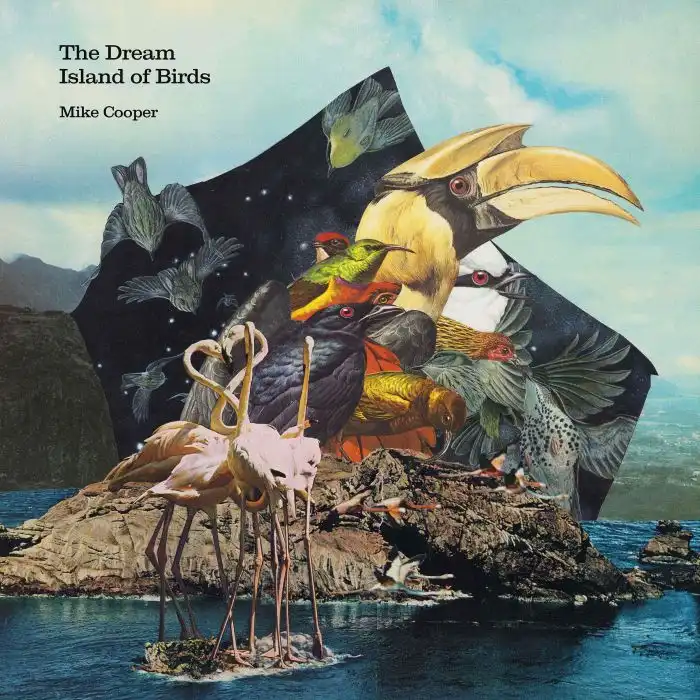 MIKE COOPER / マイク・クーパー / THE DREAM ISLAND OF BIRDS (LP)
