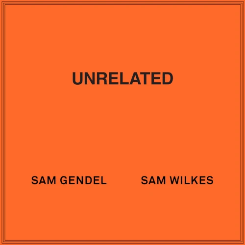 SAM GENDEL & SAM WILKES / サム・ゲンデル&サム・ウィルクス / Unrelated(LP)