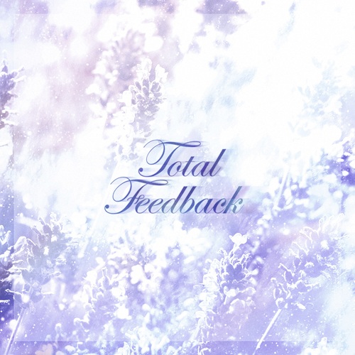 貴重CD トータル・フィードバック シューゲイザー　コンピレーション Total Feedback 2026/V.A (Total Feedback)/最新型シューゲイザーに