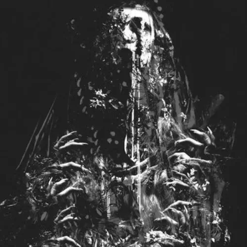 NO PEACE (LP/MARBLE VINYL)/NO/MAS/ワシントンD.C.のグラインドコア