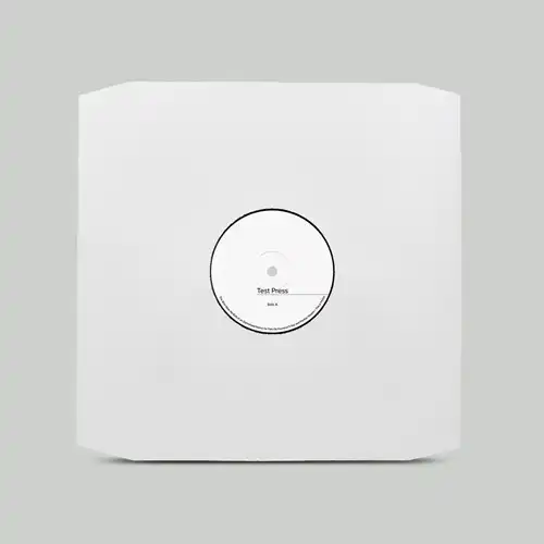 FELIX DA HOUSECAT / フェリックス・ダ・ハウスキャット / TEST PRESS (APHROHEAD REMIX / EROL ALKAN RE-EDIT)