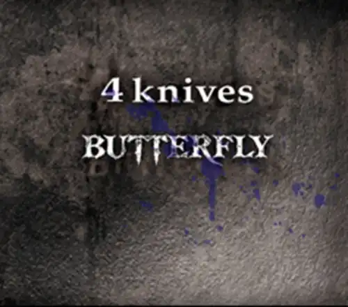 4 knives/BUTTERFLY/前作から7年振りの新作!｜PUNK｜ディスク