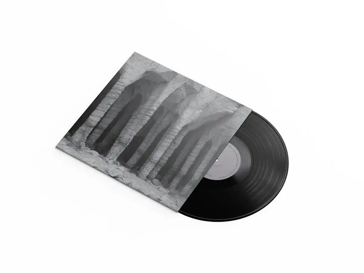 KASSEL JAEGER / カッセル・イェガー / SUB RE [LP - BLACK]
