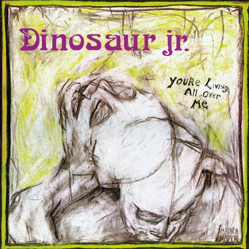 DINOSAUR JR. / ダイナソー・ジュニア商品一覧｜OLD ROCK｜ディスク