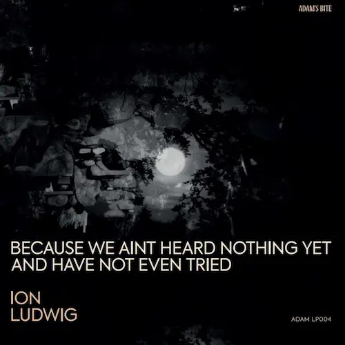 ION LUDWIG / BECAUSE WE AINT HEARD NOTHING YET AND HAVE NOT EVEN TRIED