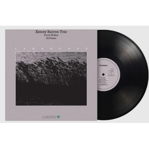 KENNY BARRON / ケニー・バロン / Landscape(LP/180G)