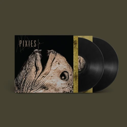 PIXIES / ピクシーズ / COMPLETE B SIDES: 1988-97 (2LP)
