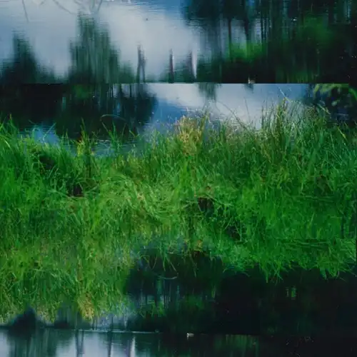OYUBI / WHITE BIRCH BURNS