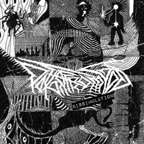 EMO / POST ROCK・HC / CHAOTIC HC｜PUNK｜ディスクユニオン