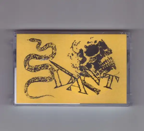 新入荷一覧｜PUNK｜ディスクユニオン・オンラインショップ｜diskunion.net