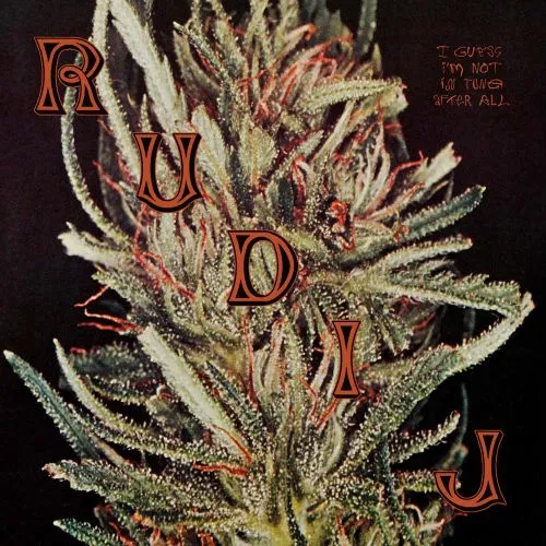 RUDI J / I GUESS I'M NOT IN TUNE AFTER ALL