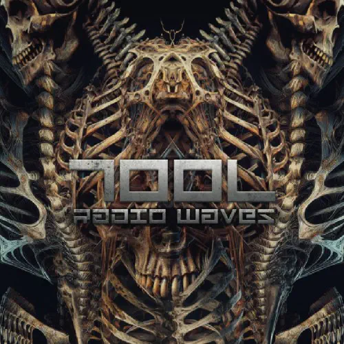 FEAR INOCULUM / フィア・イノキュラム/TOOL/トゥール/完全生産限定盤