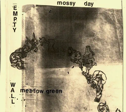 MOSSY PLACE / EMPTY WALL, MEADOW GREEN (CD)