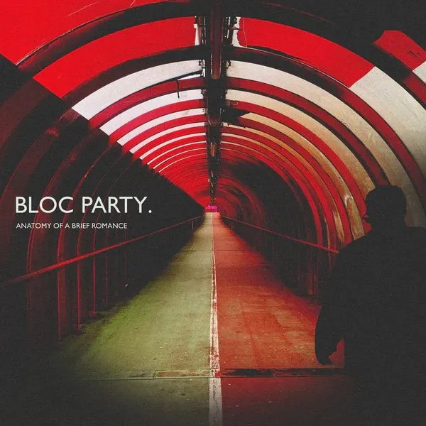 BLOC PARTY / ブロック・パーティー / ANATOMY OF A BRIEF ROMANCE (CD)