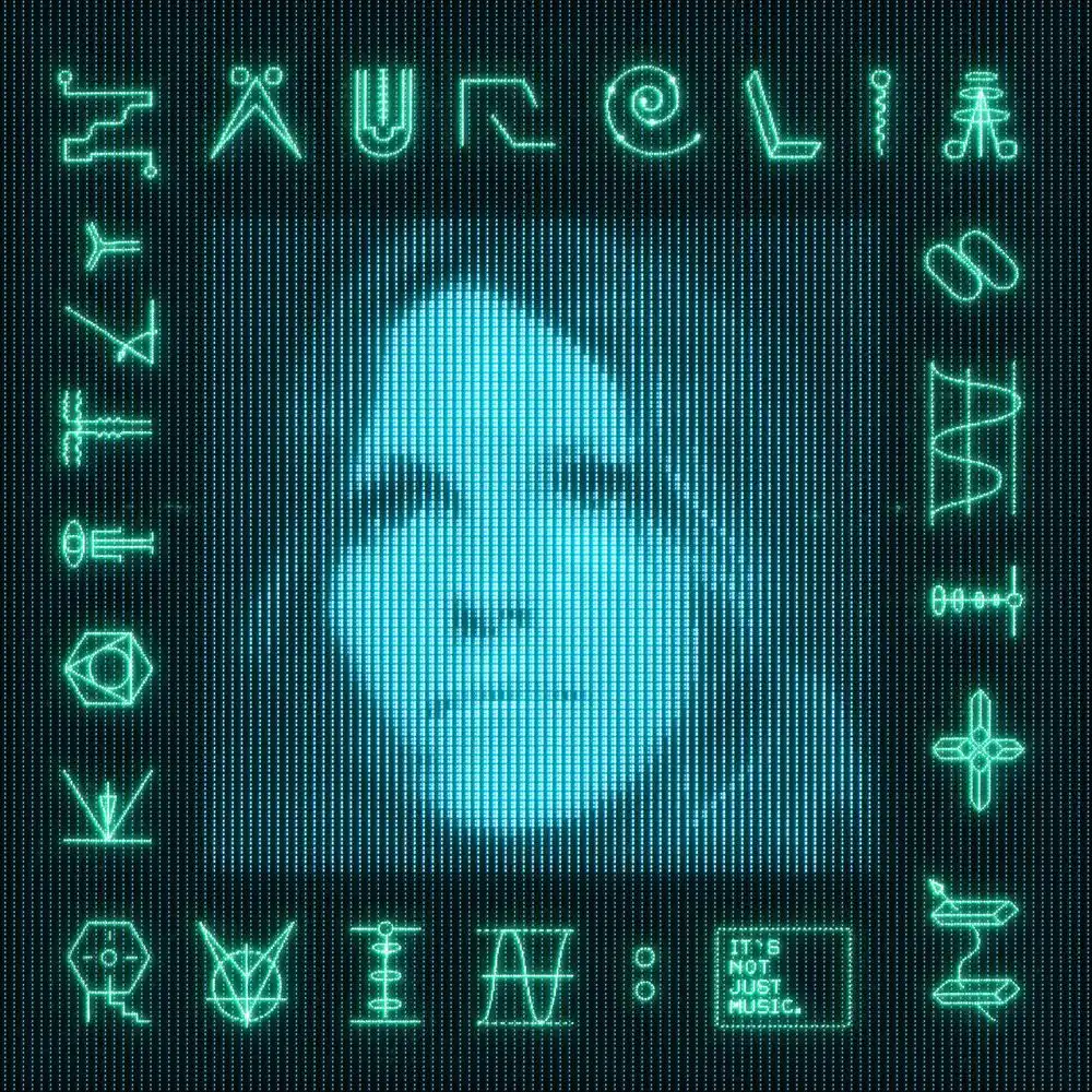 KAITLYN AURELIA SMITH / ケイトリン・アウレリア・スミス / RUIN : IT"S NOT JUST MUSIC [LP]