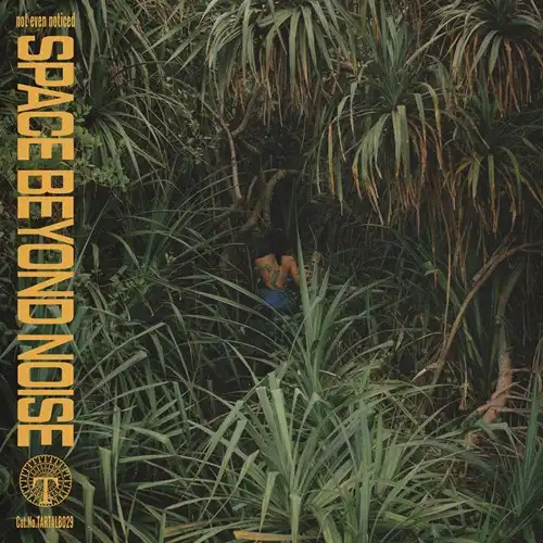 NOT EVEN NOTICED / SPACE BEYOND NOISE