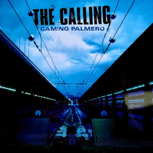 CALLING / コーリング / CAMINO PALMERO (LP)