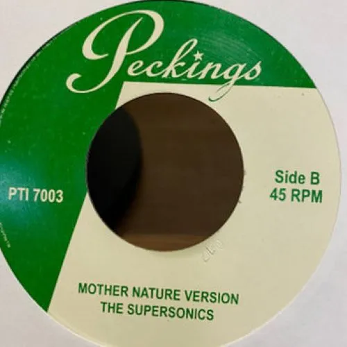 PARAGONS / パラゴンズ / MOTHER NATURE